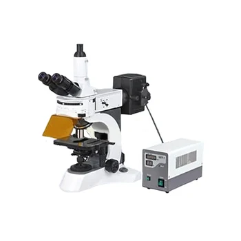 YG-800 de Fluorescență Microscop, Microscop Trinocular, Diagnosticul Clinic, de Predare Experimentul, Examen anatomopatologic